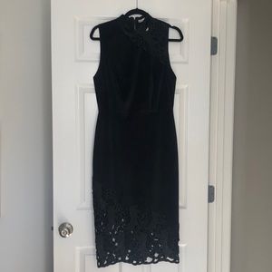 Alice & Olivia Black Velvet Dress